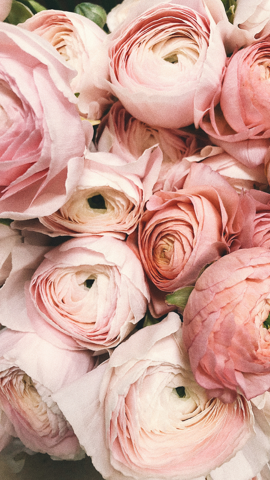 白　黒　シンプル　Instagramストーリー